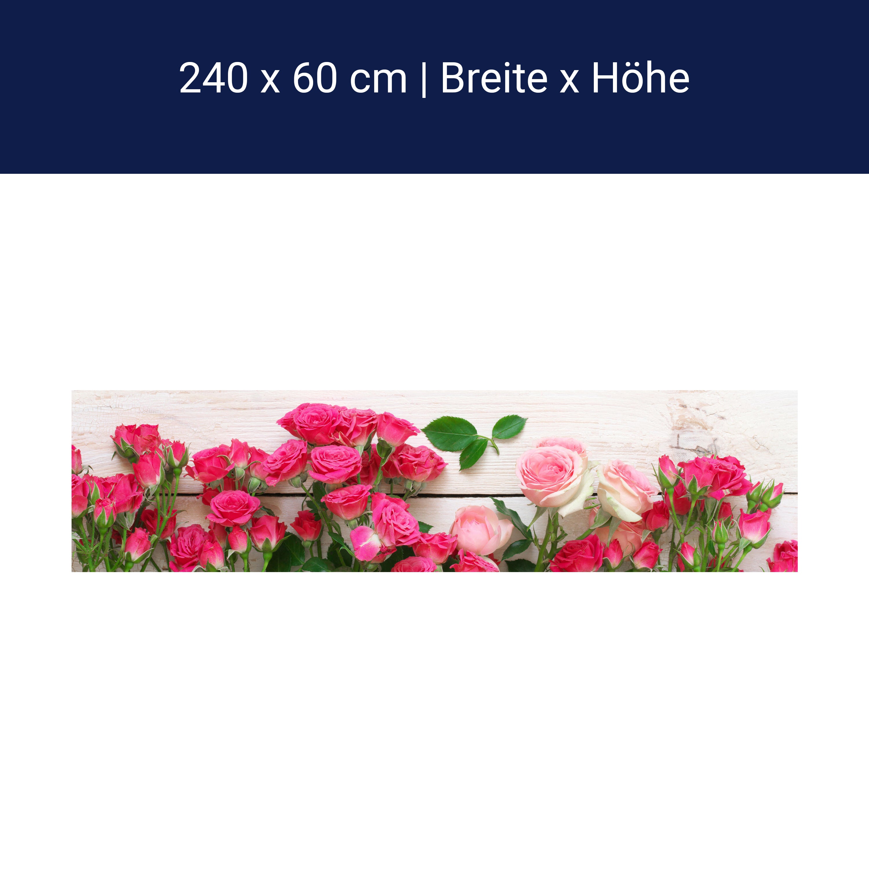 Küchenrückwand Rosa und karminrote Rosen M1034 Küchenrückwand Rosa und karminrote Rosen M1034