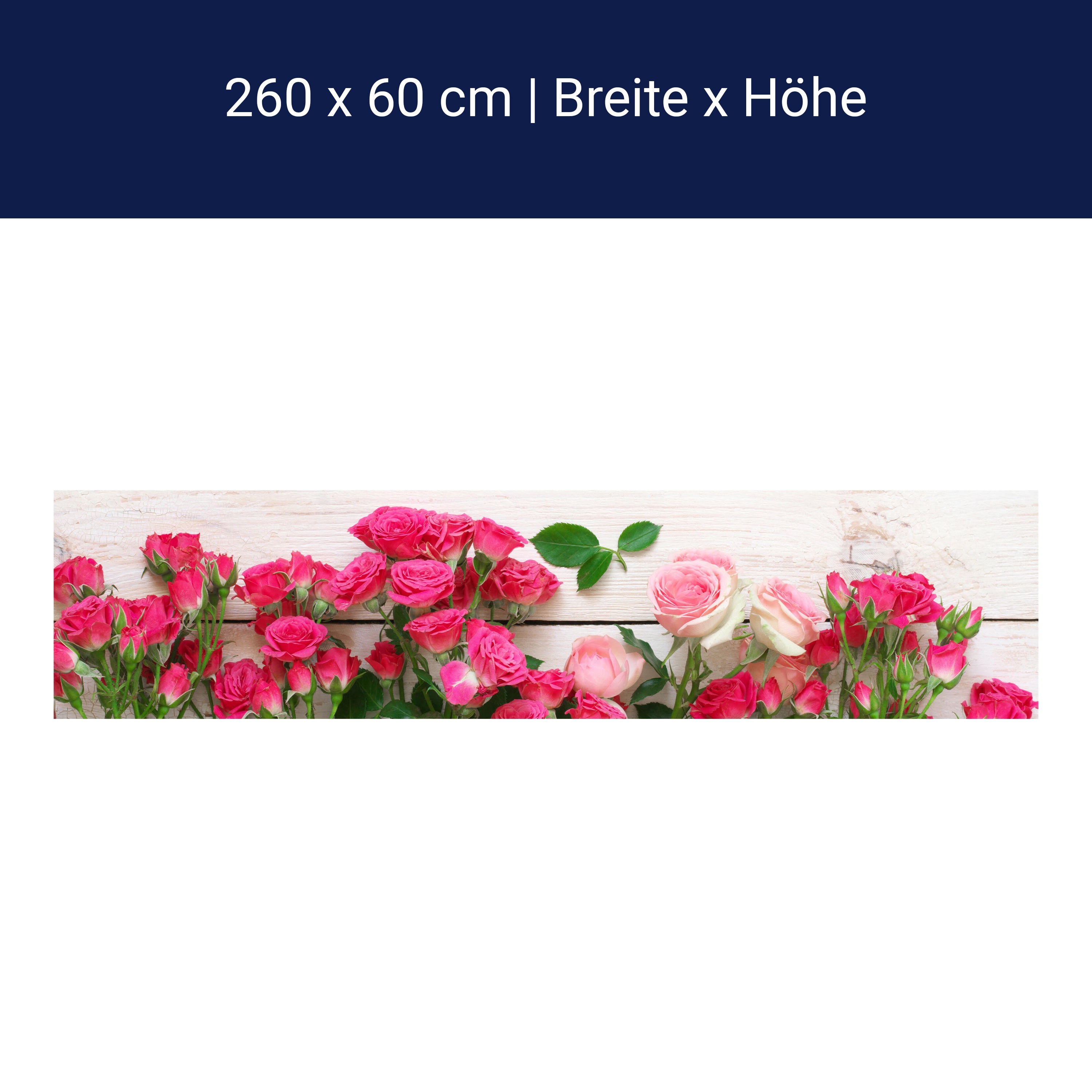 Küchenrückwand Rosa und karminrote Rosen M1034 Küchenrückwand Rosa und karminrote Rosen M1034