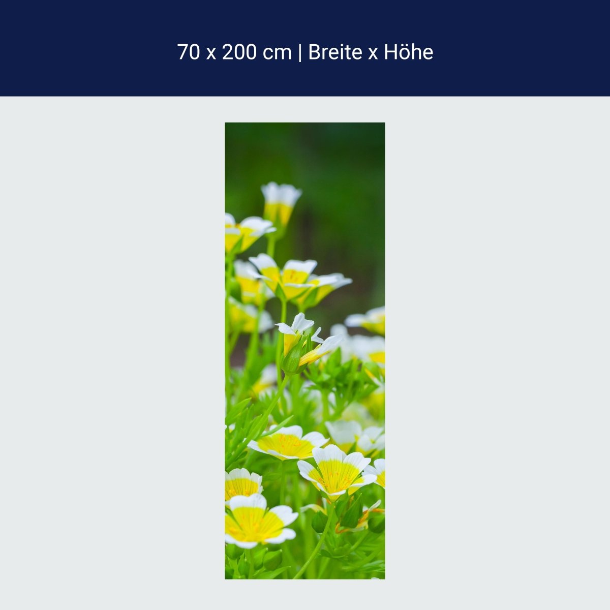 Duschwand Blumen, Sommergarten M1039 Duschwand Blumen, Sommergarten M1039