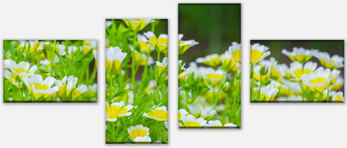 Leinwandbild Mehrteiler Blumen, die im Sommergarten wachsen M1039 Leinwandbild Mehrteiler Blumen, die im Sommergarten wachsen M1039