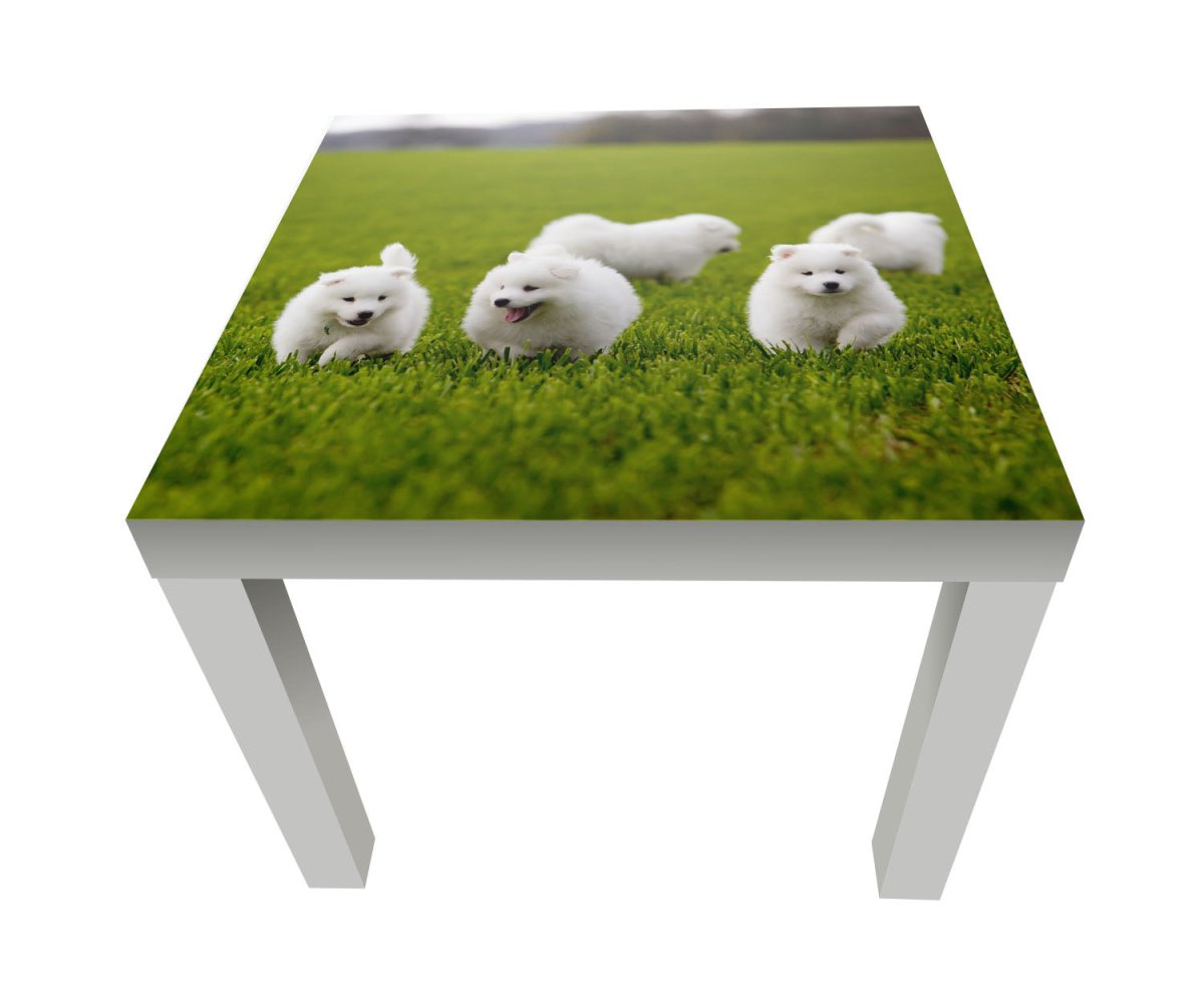 Beistelltisch Samojedenhund M1043 entdecken - Bild 1 Beistelltisch Samojedenhund M1043 entdecken - Bild 1