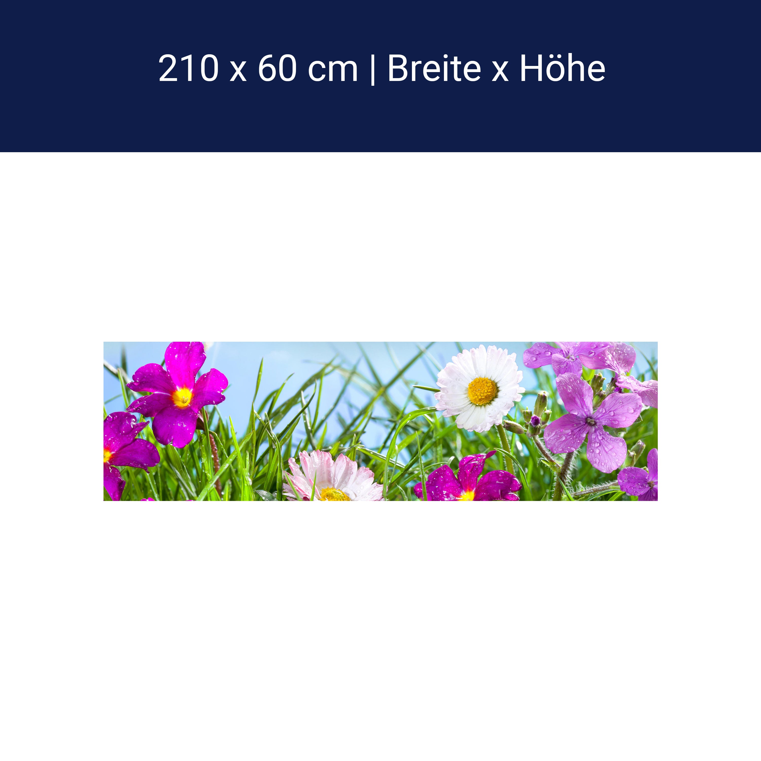 Küchenrückwand Blühende Wiese unter blauem Himmel M1044 Küchenrückwand Blühende Wiese unter blauem Himmel M1044