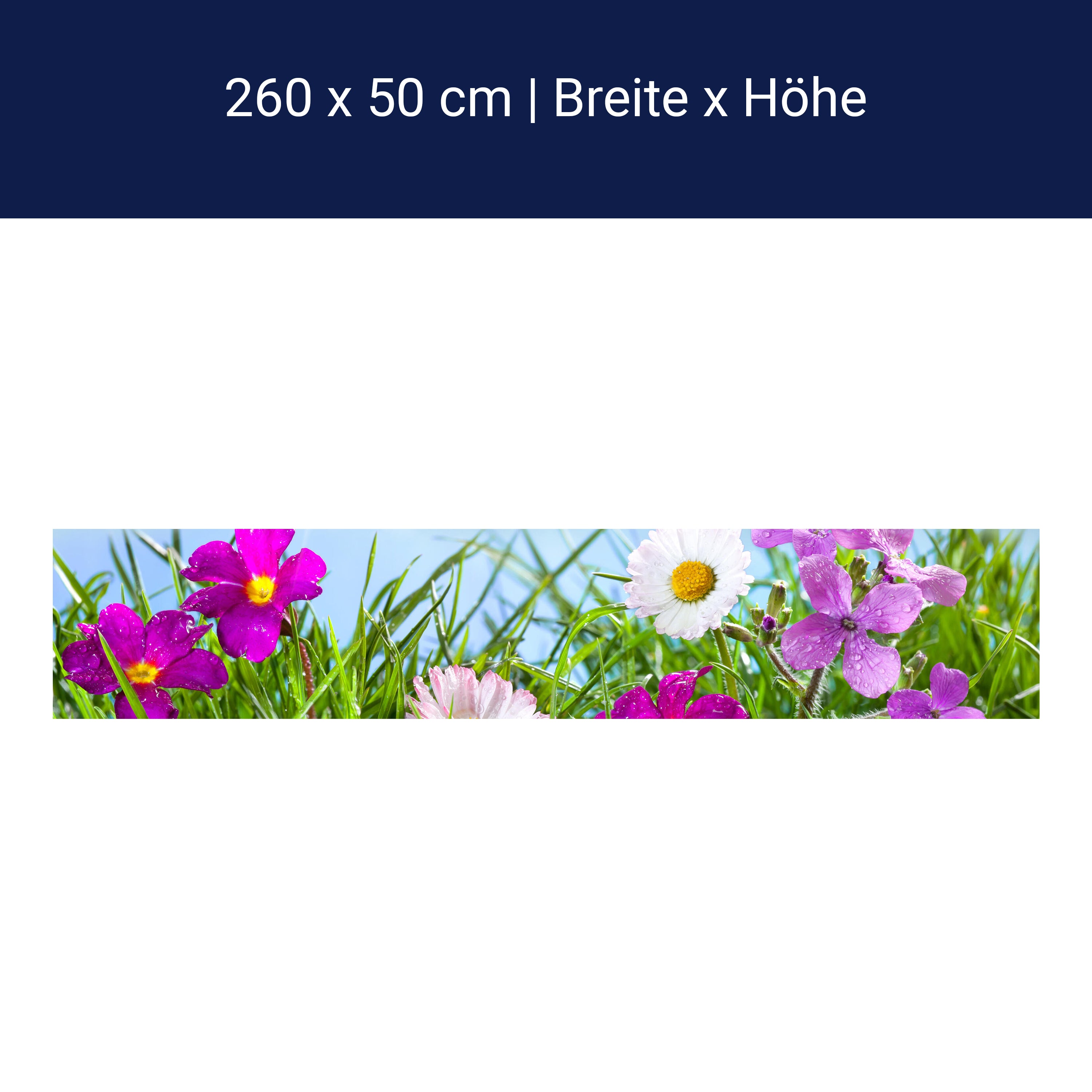 Küchenrückwand Blühende Wiese unter blauem Himmel M1044 Küchenrückwand Blühende Wiese unter blauem Himmel M1044