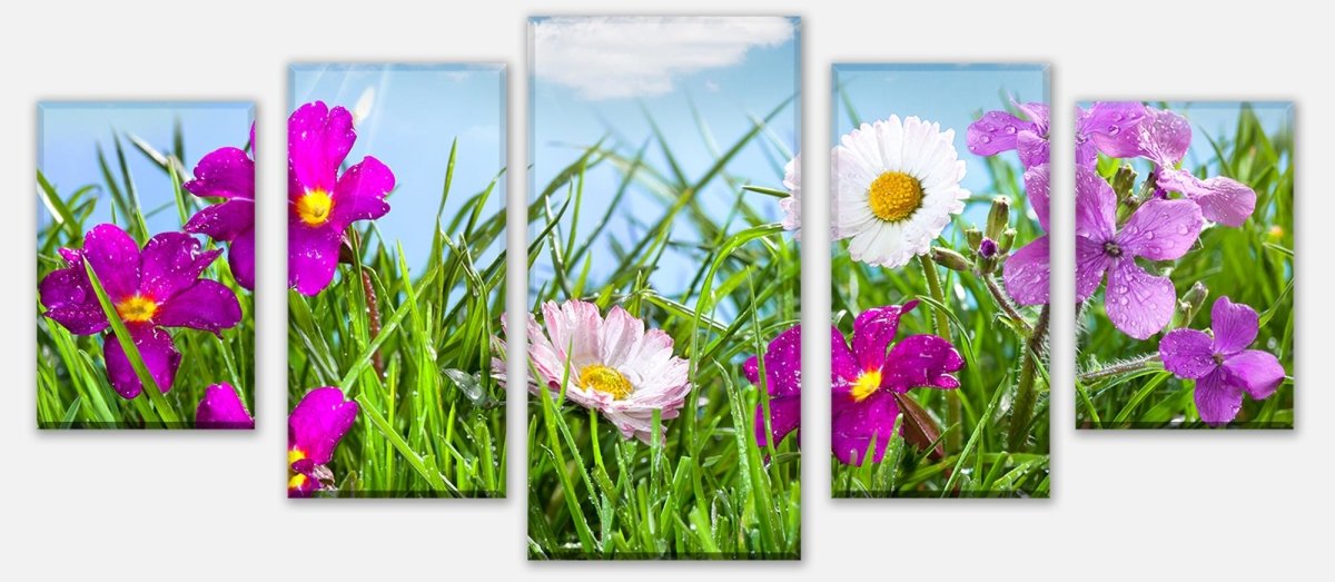 Leinwandbild Mehrteiler Blühende Wiese unter blauem Himmel M1044 entdecken - Bild 1 Leinwandbild Mehrteiler Blühende Wiese unter blauem Himmel M1044 entdecken - Bild 1