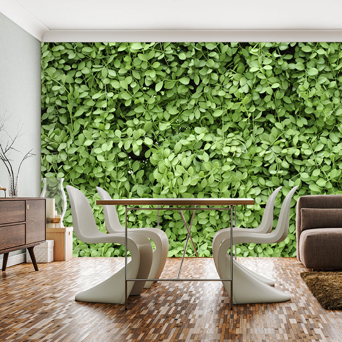 Fototapete Grüne Blätter Wand M1045 - Bild 1 Fototapete Grüne Blätter Wand M1045 - Bild 1