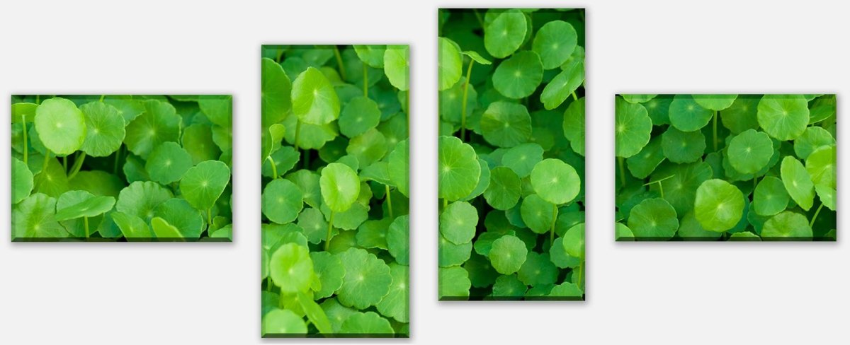 Leinwandbild Mehrteiler Grünpflanzen Hintergrund M1046 Leinwandbild Mehrteiler Grünpflanzen Hintergrund M1046