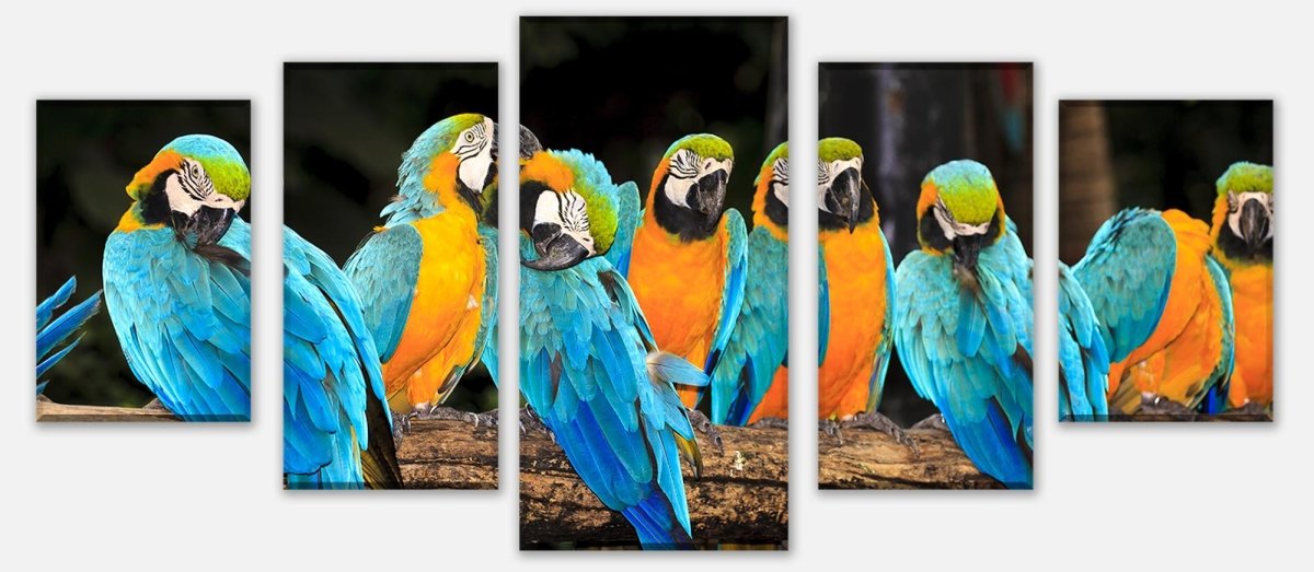 Leinwandbild Mehrteiler Aras M1047 entdecken - Bild 1 Leinwandbild Mehrteiler Aras M1047 entdecken - Bild 1