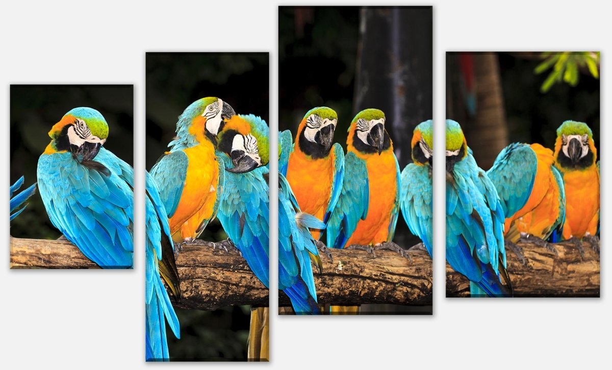 Leinwandbild Mehrteiler Aras M1047 Leinwandbild Mehrteiler Aras M1047