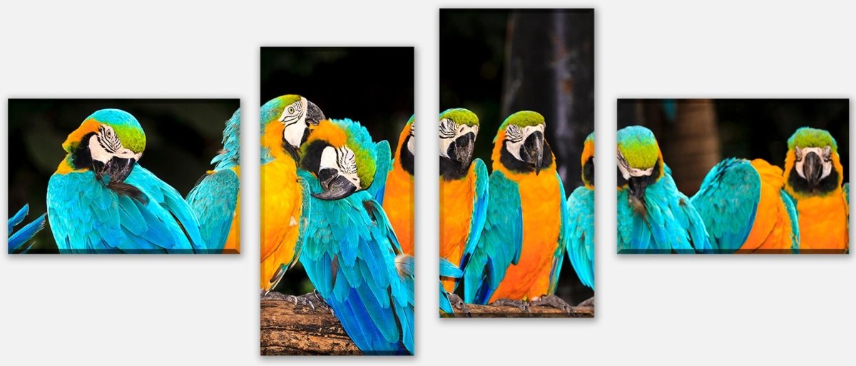 Leinwandbild Mehrteiler Aras M1047 Leinwandbild Mehrteiler Aras M1047