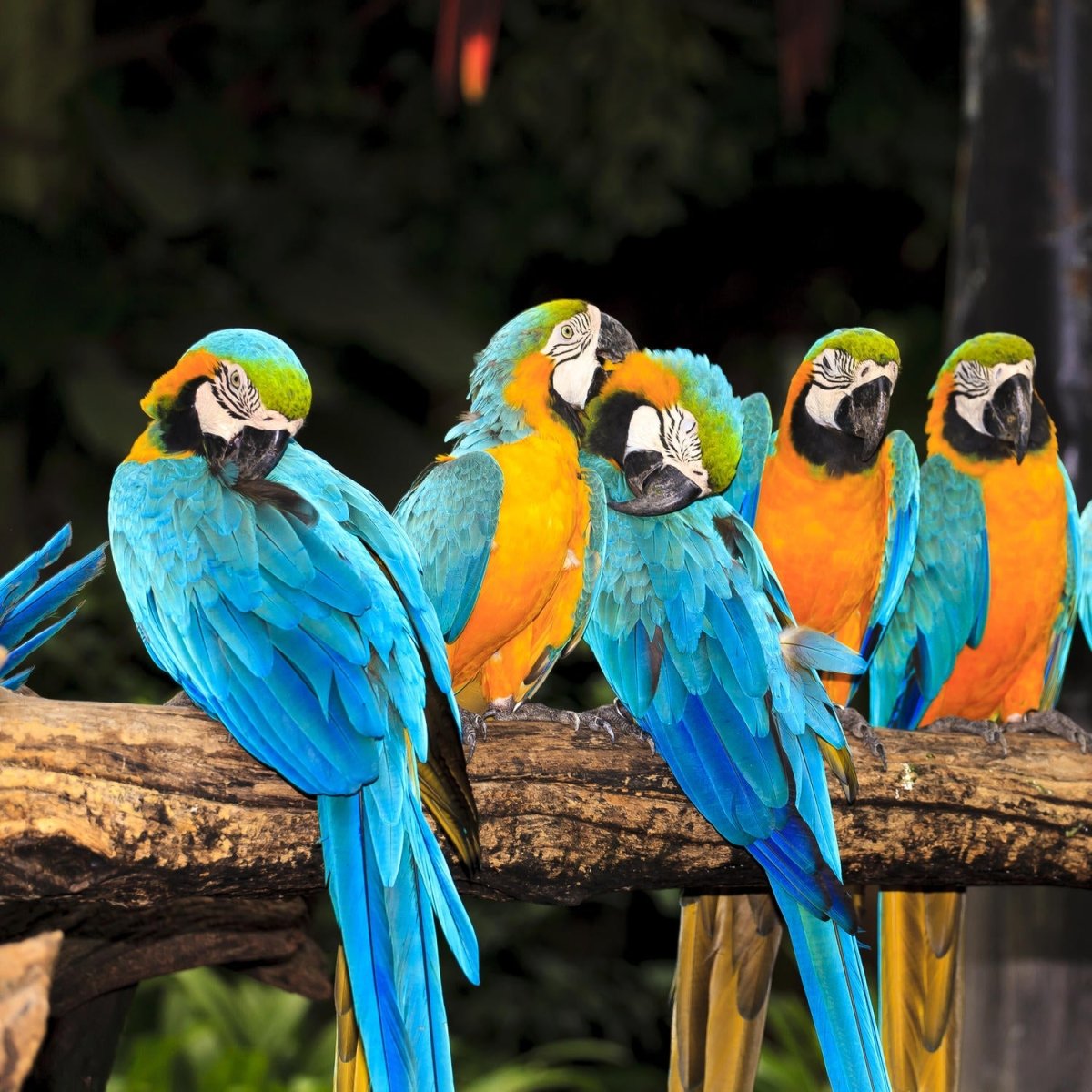 Beistelltisch Aras M1047 entdecken - Bild 2 Beistelltisch Aras M1047 entdecken - Bild 2