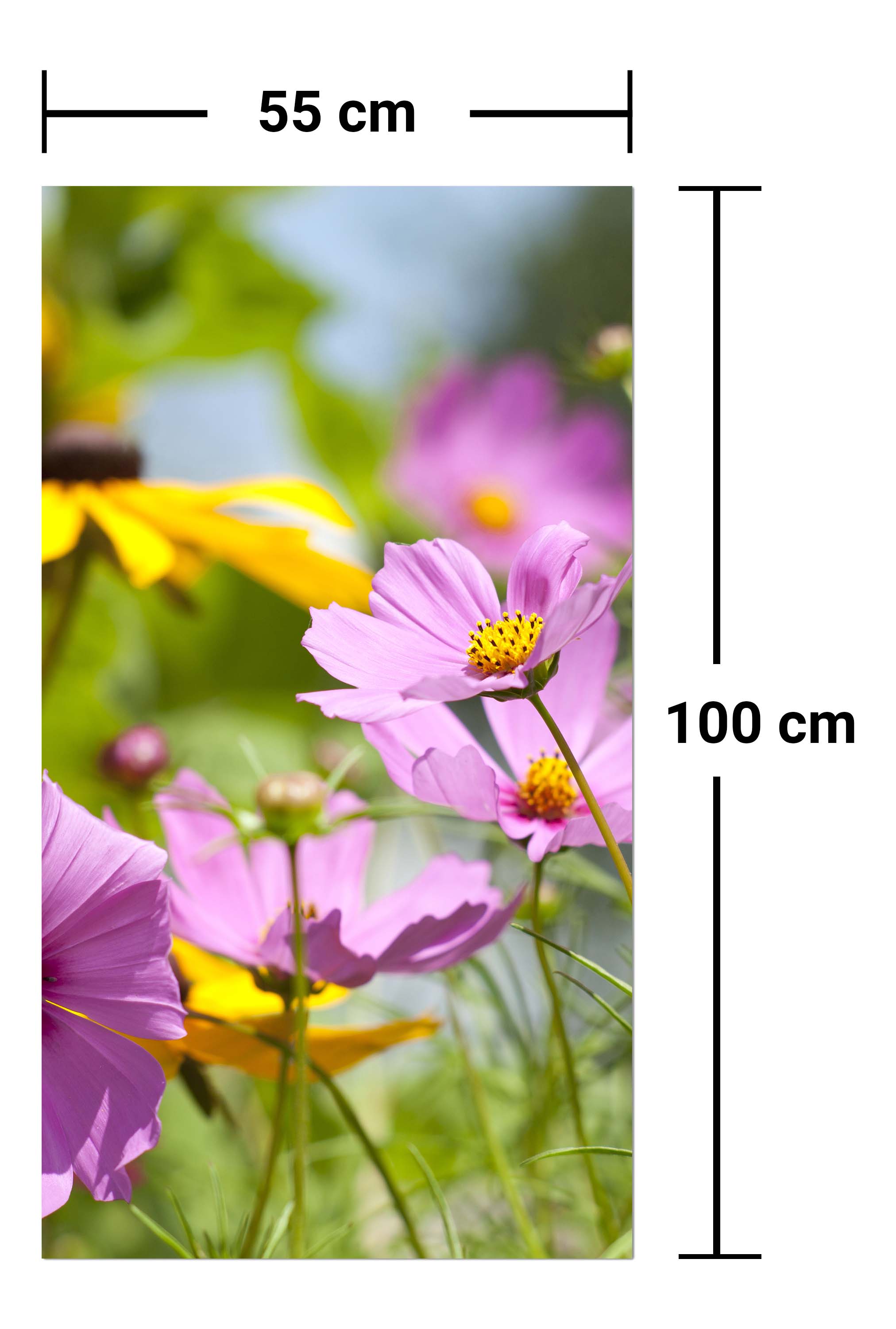 Garderobe Schöne Frühlingsblumen M1048 entdecken - Bild 7 Garderobe Schöne Frühlingsblumen M1048 entdecken - Bild 7