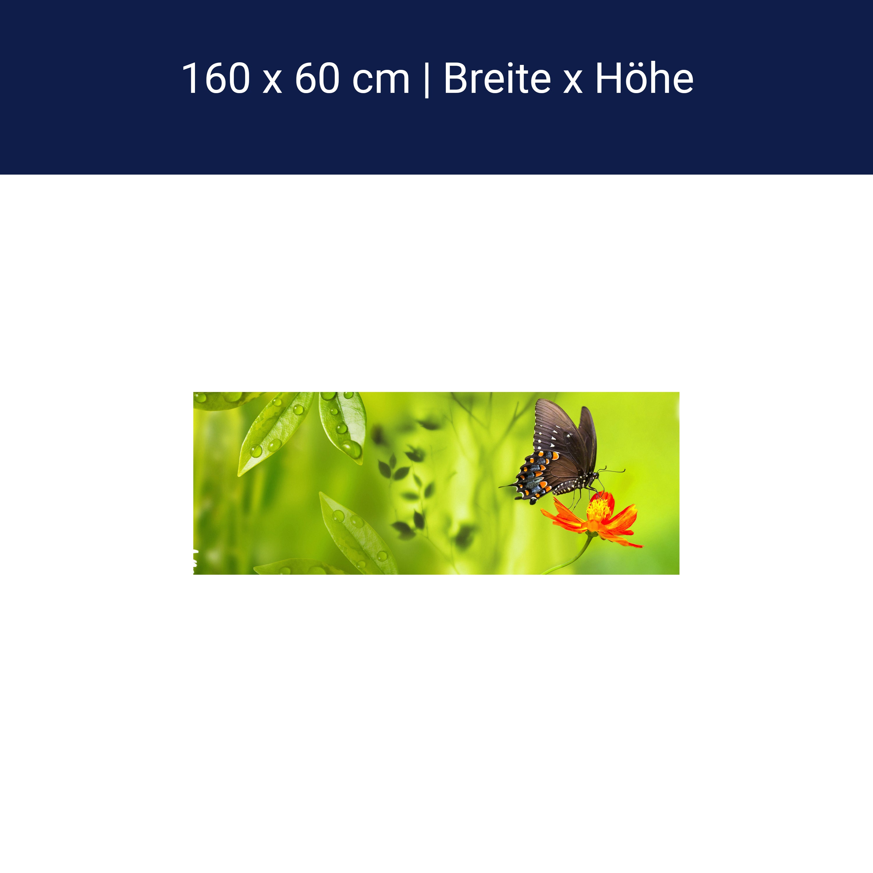 Küchenrückwand Schmetterling Marienkäfer Grün Gänseblüm M1080 Küchenrückwand Schmetterling Marienkäfer Grün Gänseblüm M1080