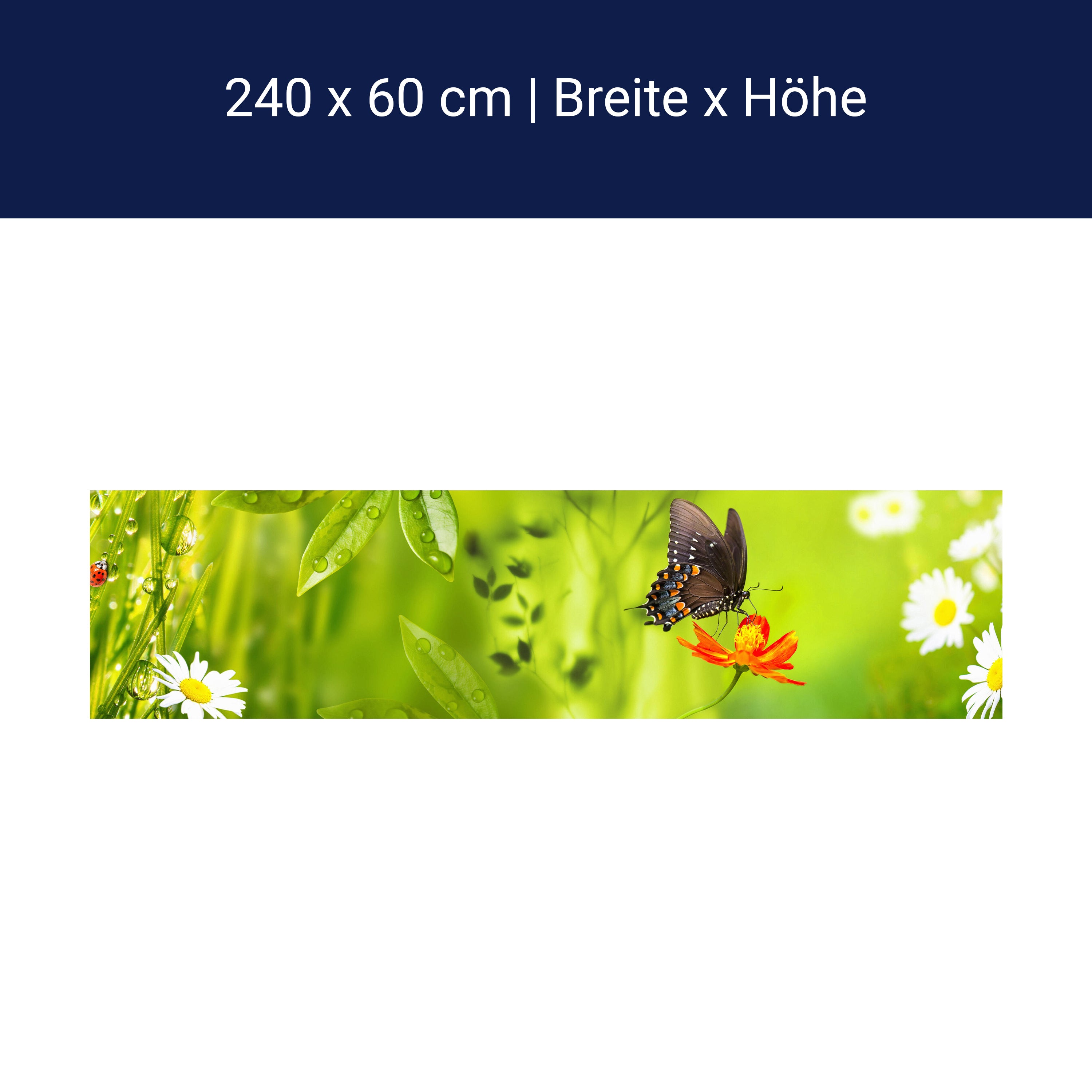 Küchenrückwand Schmetterling Marienkäfer Grün Gänseblüm M1080 Küchenrückwand Schmetterling Marienkäfer Grün Gänseblüm M1080