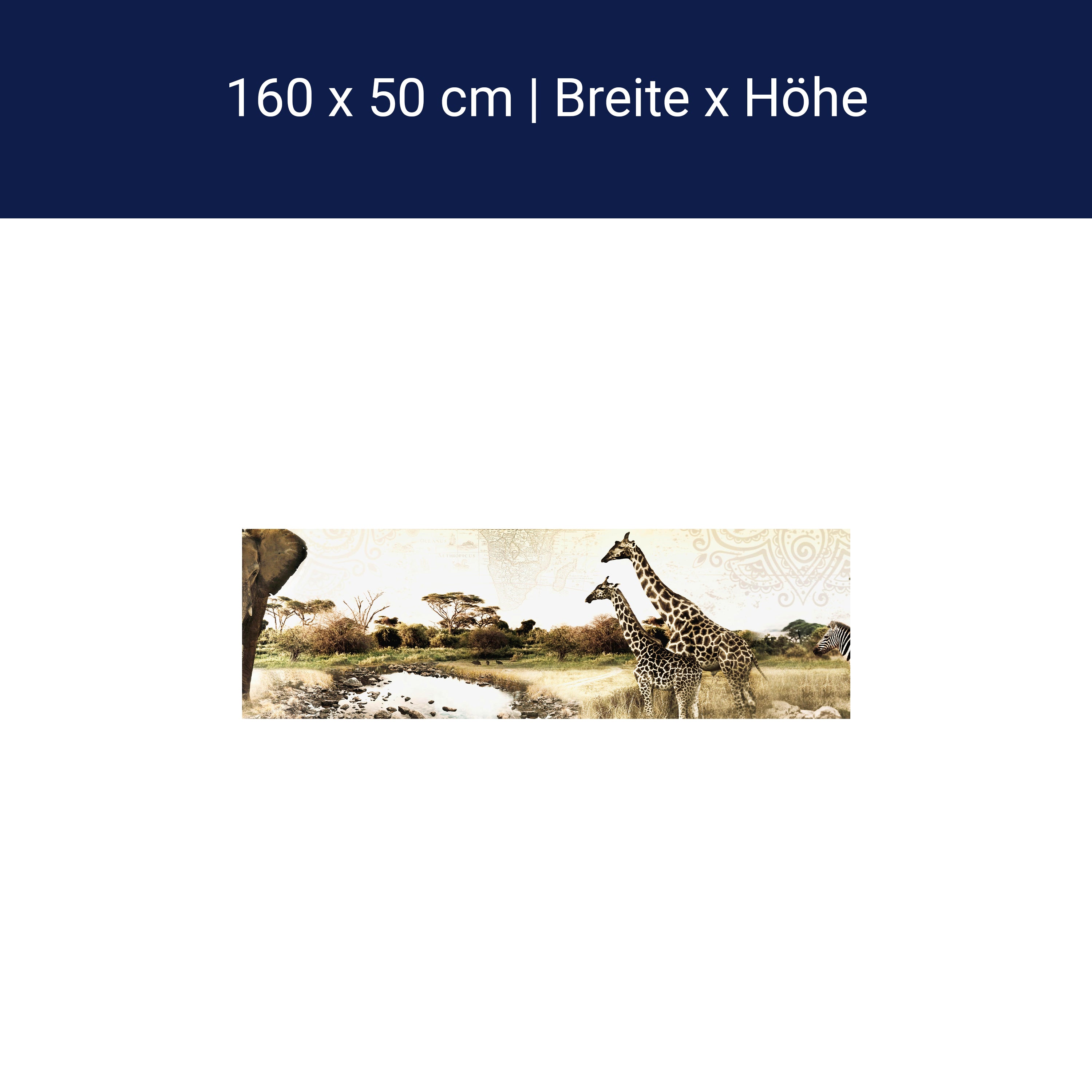 Küchenrückwand Afrika Elefant Giraffe Zebra Savanne M1084 Küchenrückwand Afrika Elefant Giraffe Zebra Savanne M1084