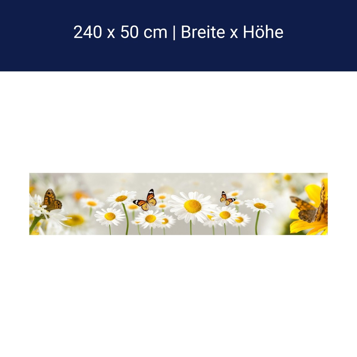 Küchenrückwand Gänseblümchen Schmetterlinge M1095 Küchenrückwand Gänseblümchen Schmetterlinge M1095