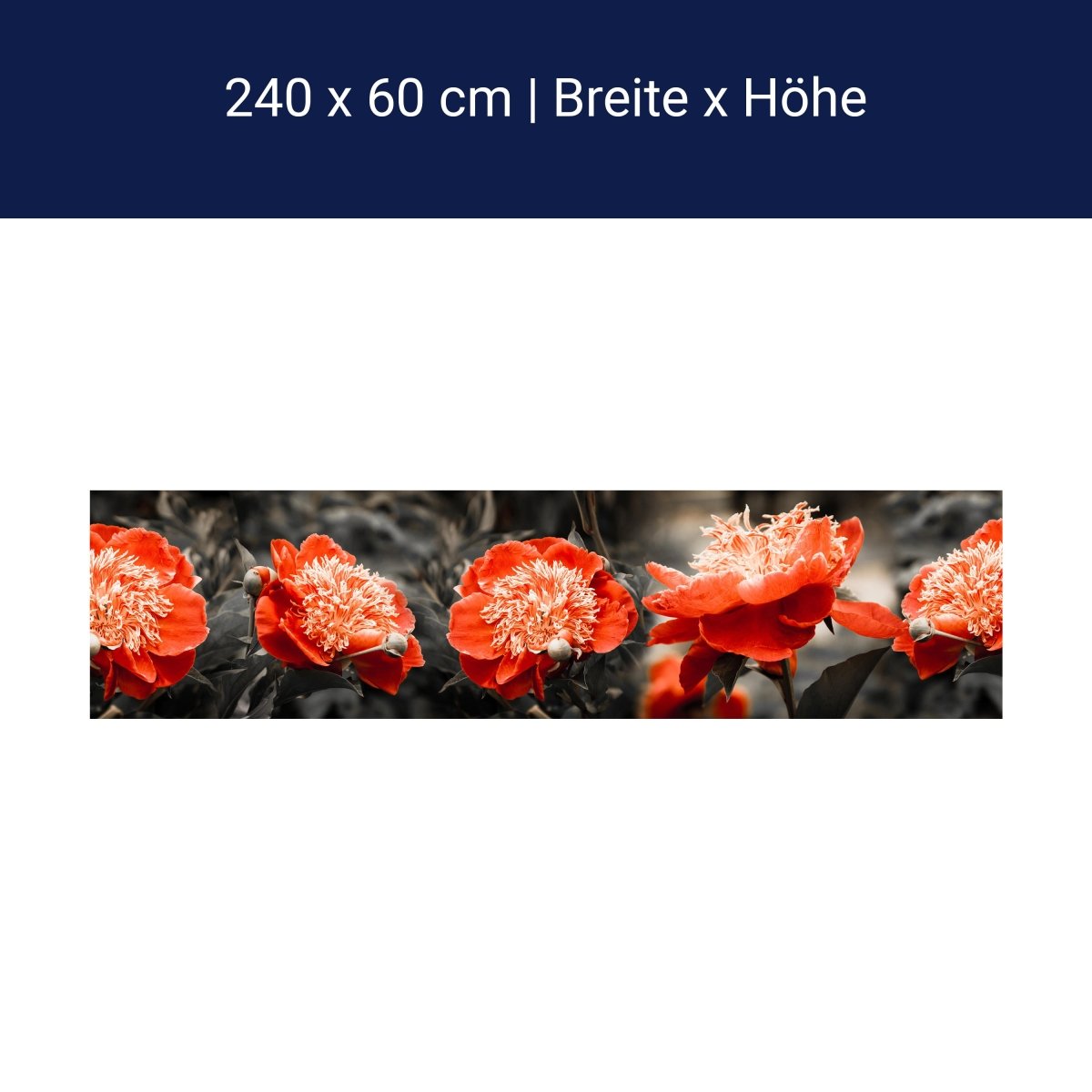 Küchenrückwand Blume Rot Kontrast Fokus Schwarz Weiß M1106 Küchenrückwand Blume Rot Kontrast Fokus Schwarz Weiß M1106