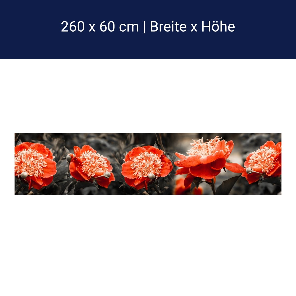 Küchenrückwand Blume Rot Kontrast Fokus Schwarz Weiß M1106 Küchenrückwand Blume Rot Kontrast Fokus Schwarz Weiß M1106