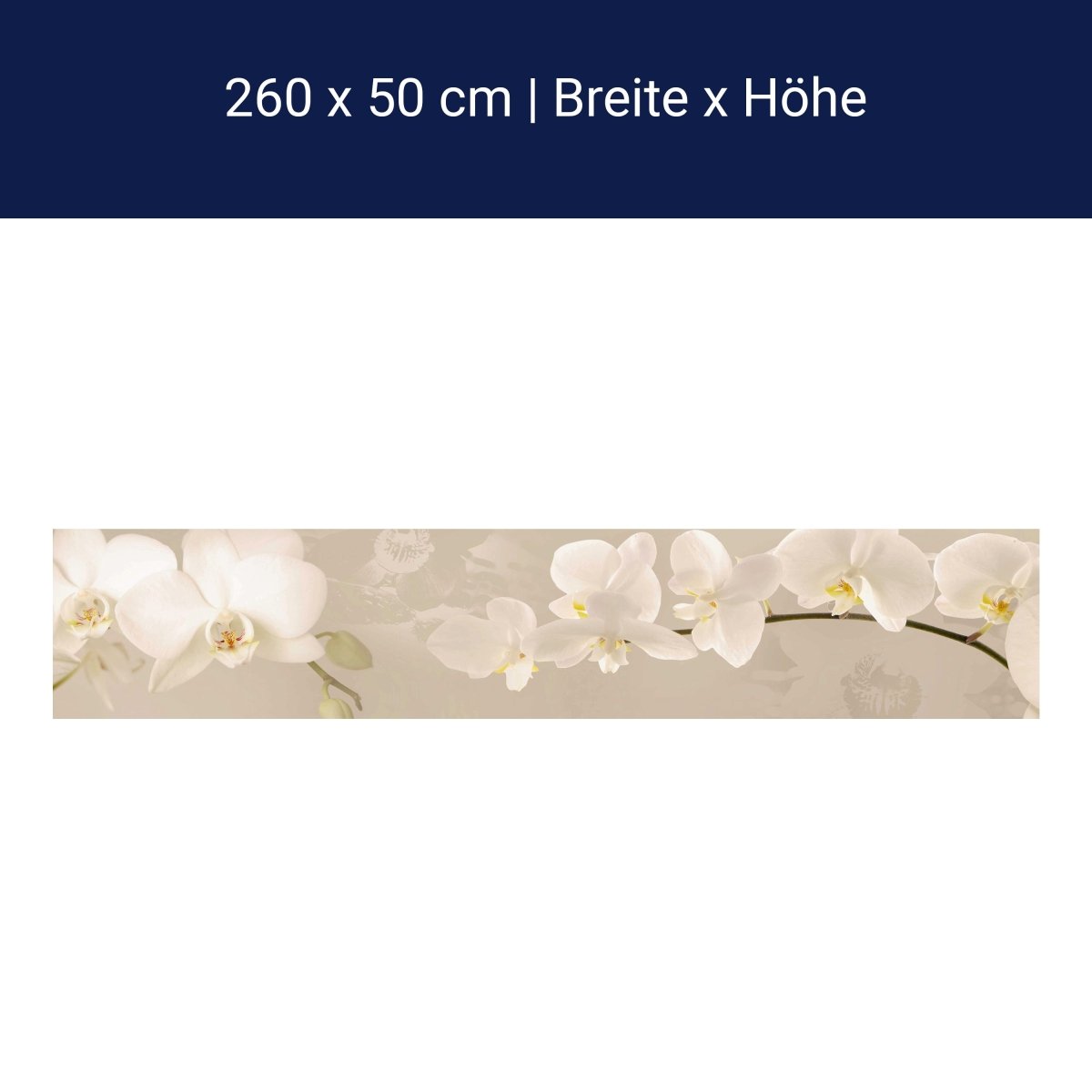 Küchenrückwand Orchidee Zweig Hell Hintergrund Weiß M1226 Küchenrückwand Orchidee Zweig Hell Hintergrund Weiß M1226