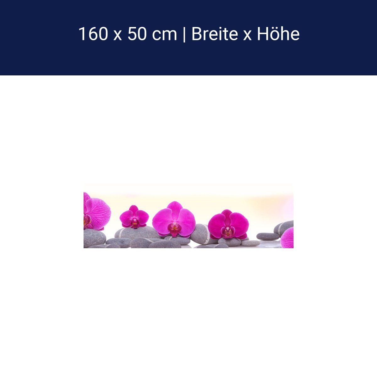 Küchenrückwand Orchidee Steine Blätter rosa M1285 Küchenrückwand Orchidee Steine Blätter rosa M1285