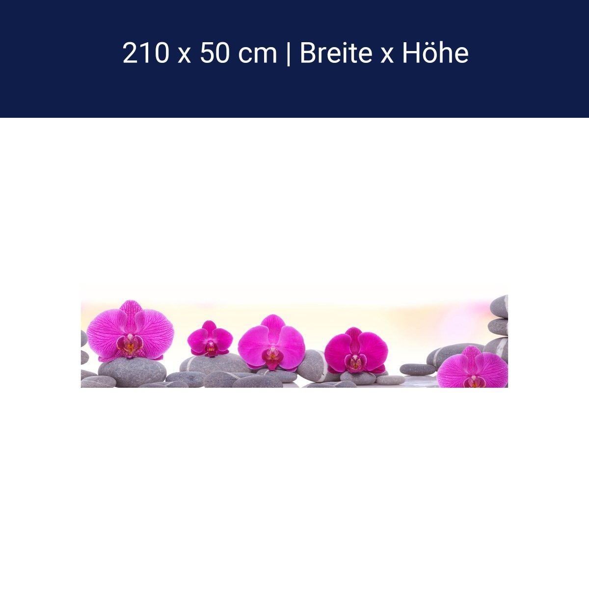 Küchenrückwand Orchidee Steine Blätter rosa M1285 Küchenrückwand Orchidee Steine Blätter rosa M1285