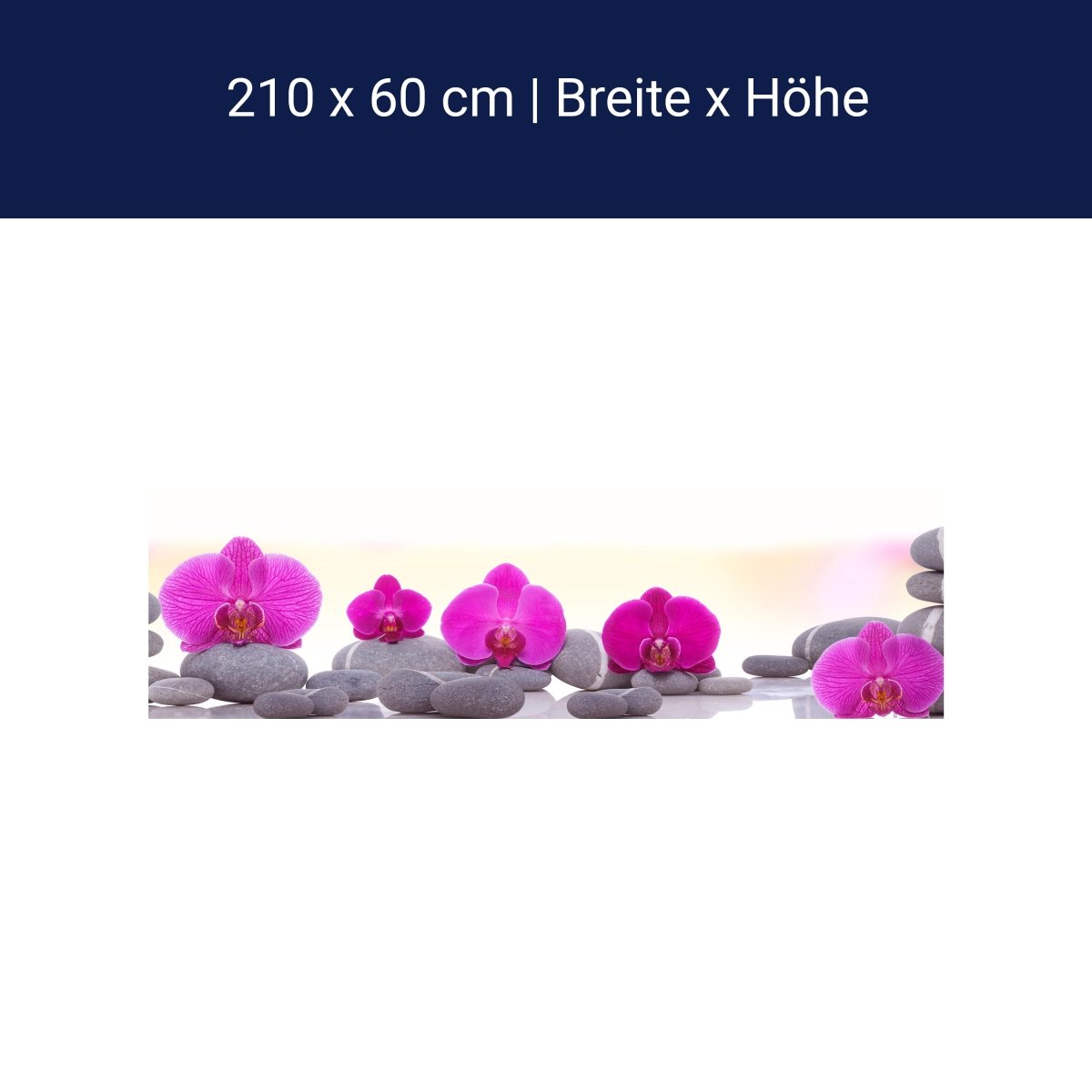 Küchenrückwand Orchidee Steine Blätter rosa M1285 Küchenrückwand Orchidee Steine Blätter rosa M1285