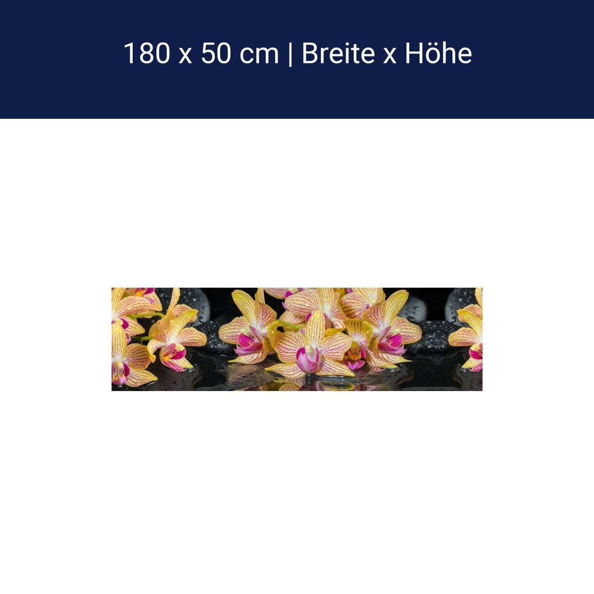 Küchenrückwand Orchidee Steine Wasser M1286 Küchenrückwand Orchidee Steine Wasser M1286