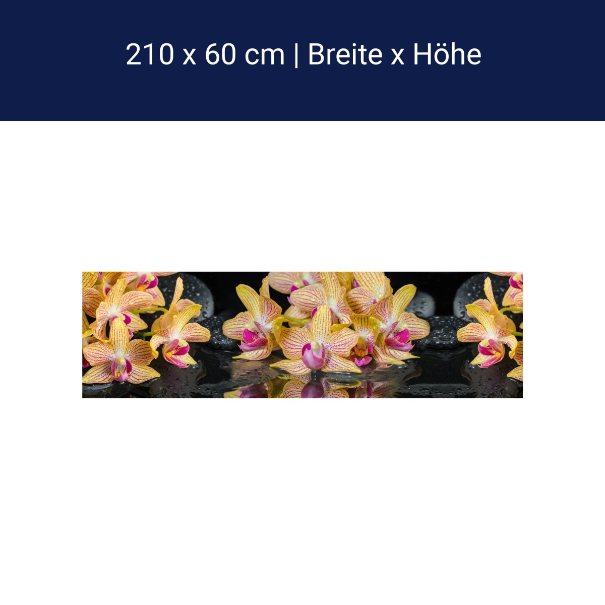 Küchenrückwand Orchidee Steine Wasser M1286 Küchenrückwand Orchidee Steine Wasser M1286