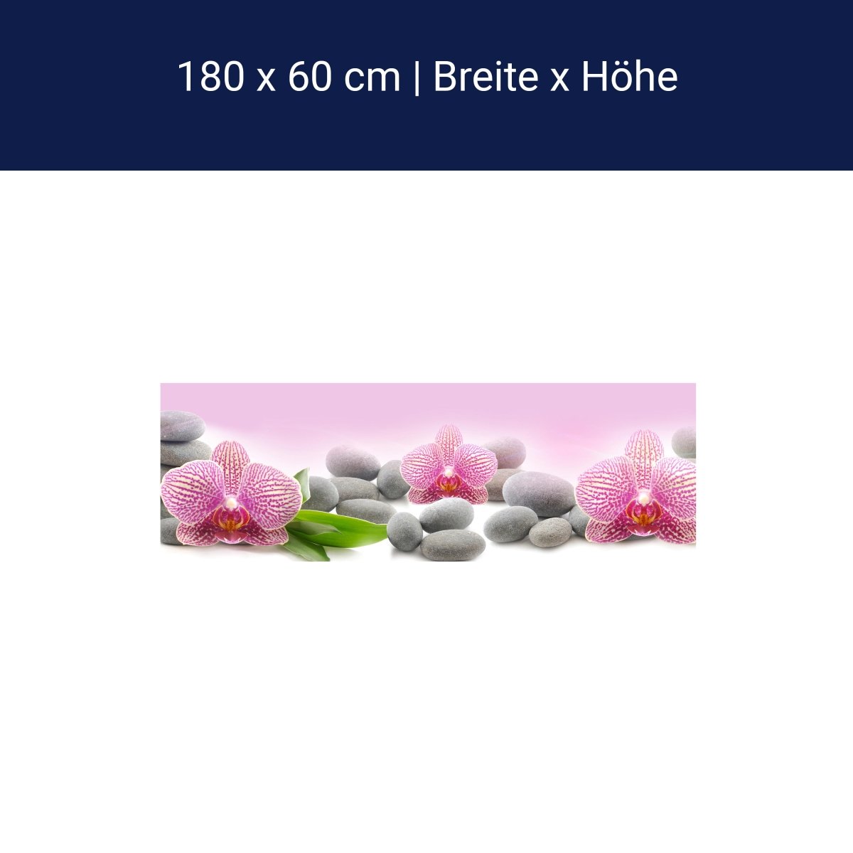 Küchenrückwand Orchidee Blätter Steine Rosa M1291 Küchenrückwand Orchidee Blätter Steine Rosa M1291