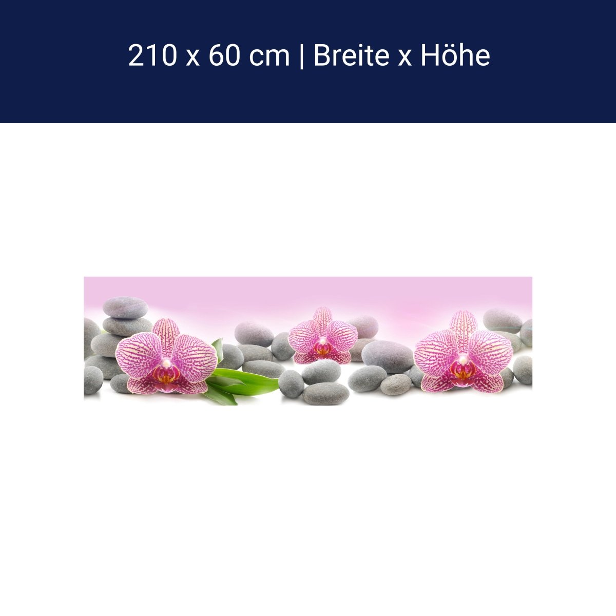 Küchenrückwand Orchidee Blätter Steine Rosa M1291 Küchenrückwand Orchidee Blätter Steine Rosa M1291
