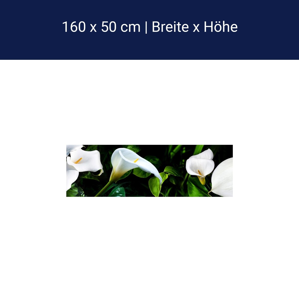 Küchenrückwand calla bartfaden weiß blätter stiel M1381 Küchenrückwand calla bartfaden weiß blätter stiel M1381