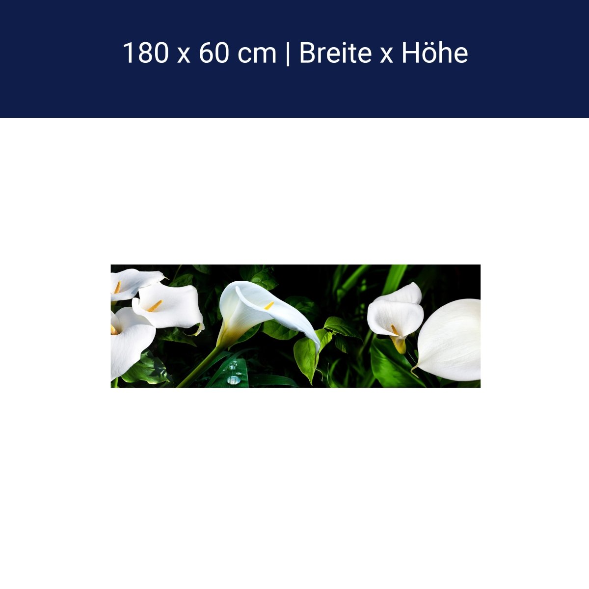 Küchenrückwand calla bartfaden weiß blätter stiel M1381 Küchenrückwand calla bartfaden weiß blätter stiel M1381