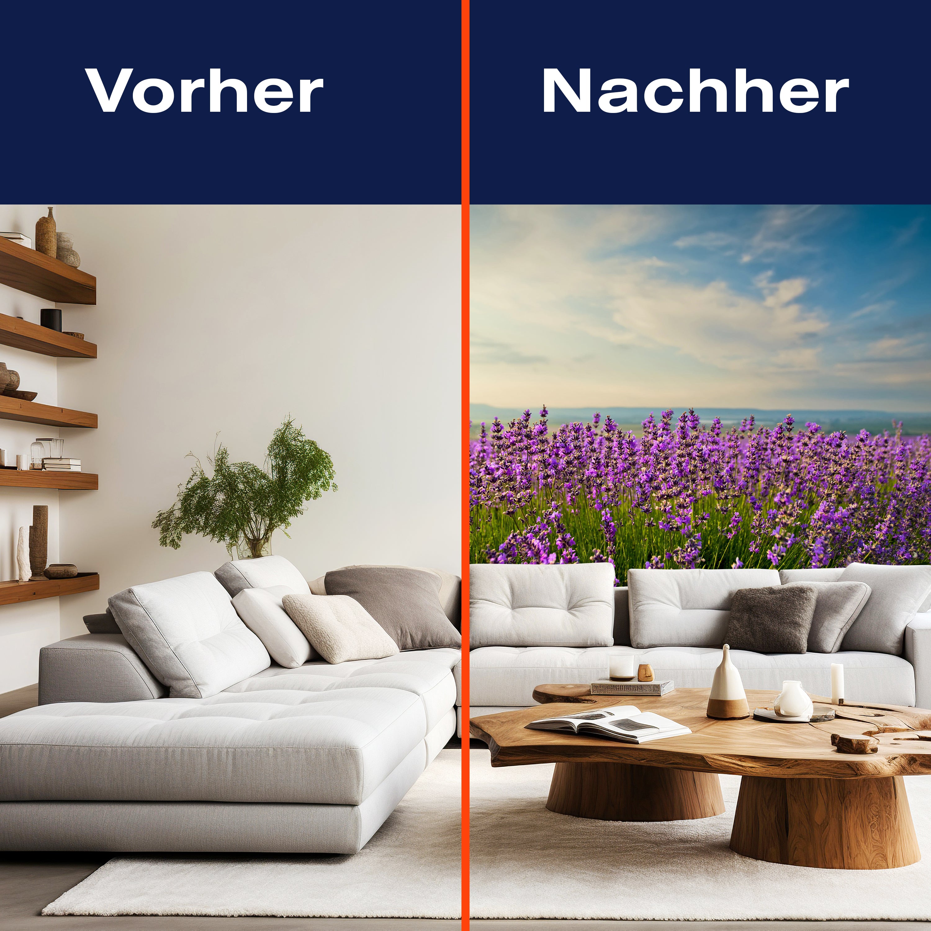 Fototapete Lavendel M0411 - Bild 9