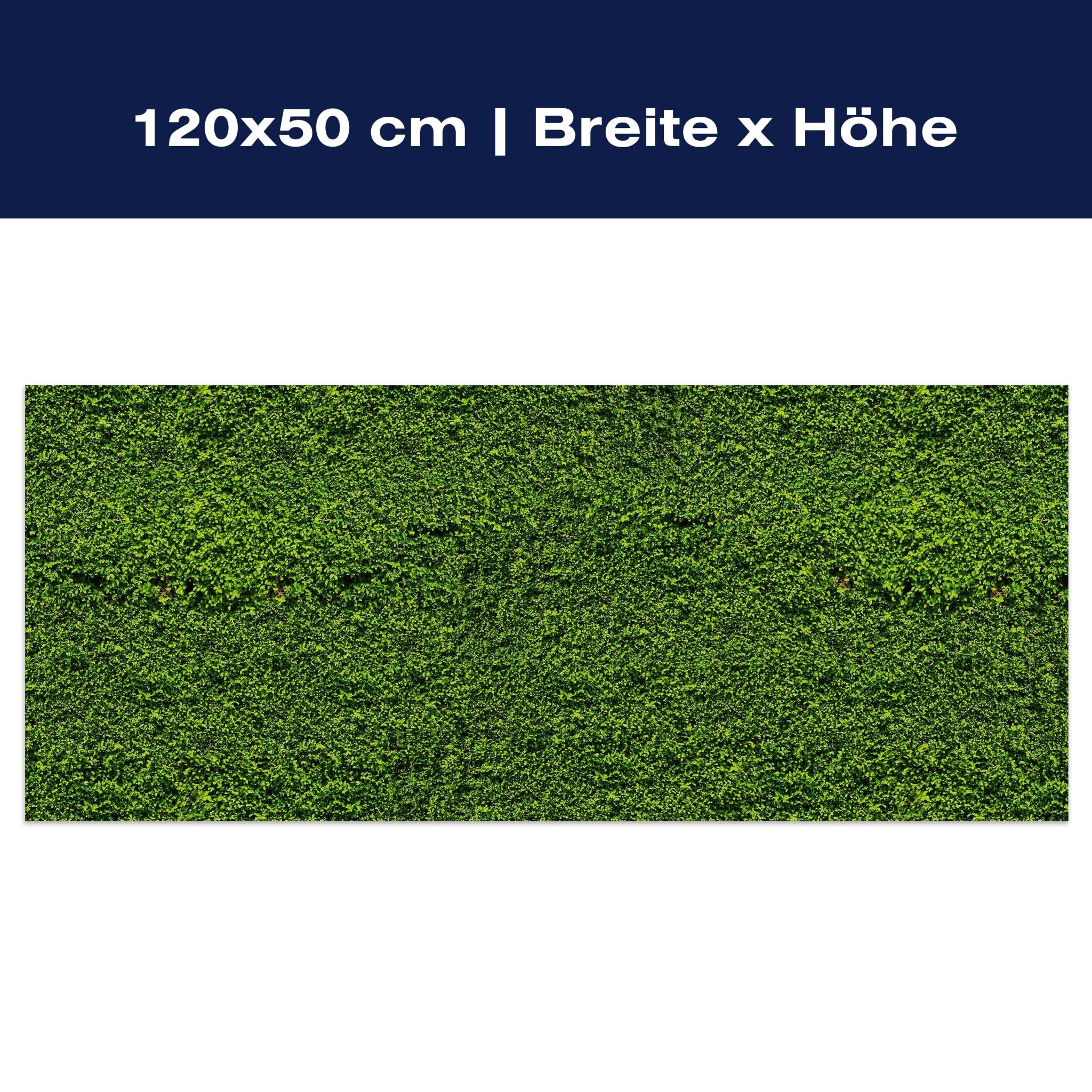 Leinwandbild Grüne Mauer M0572