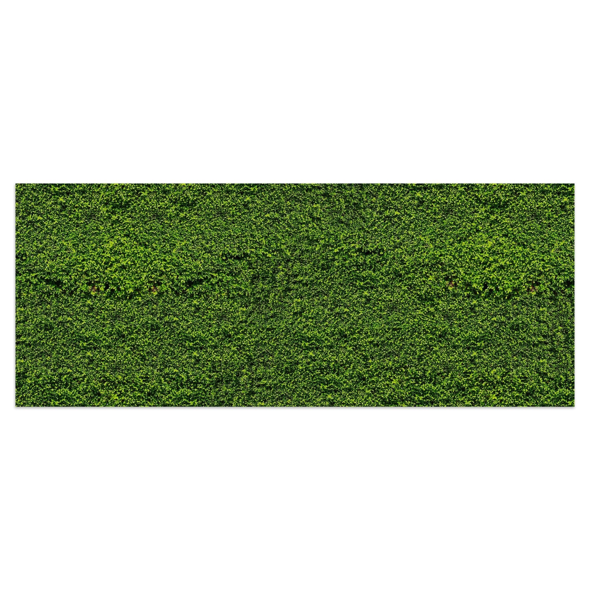 Leinwandbild Grüne Mauer M0572 kaufen - Bild 1