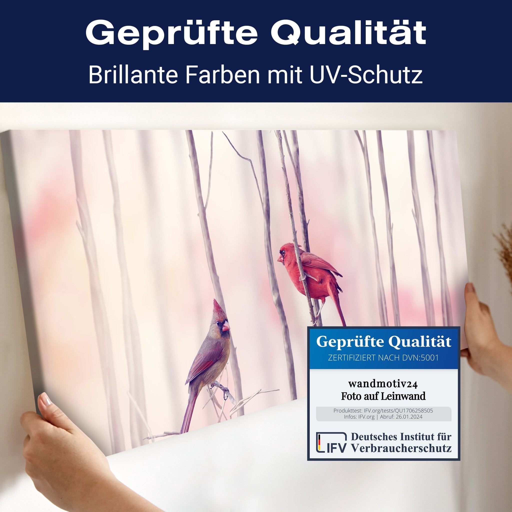 Leinwandbild Kardinalvögel M0718 kaufen - Bild 4