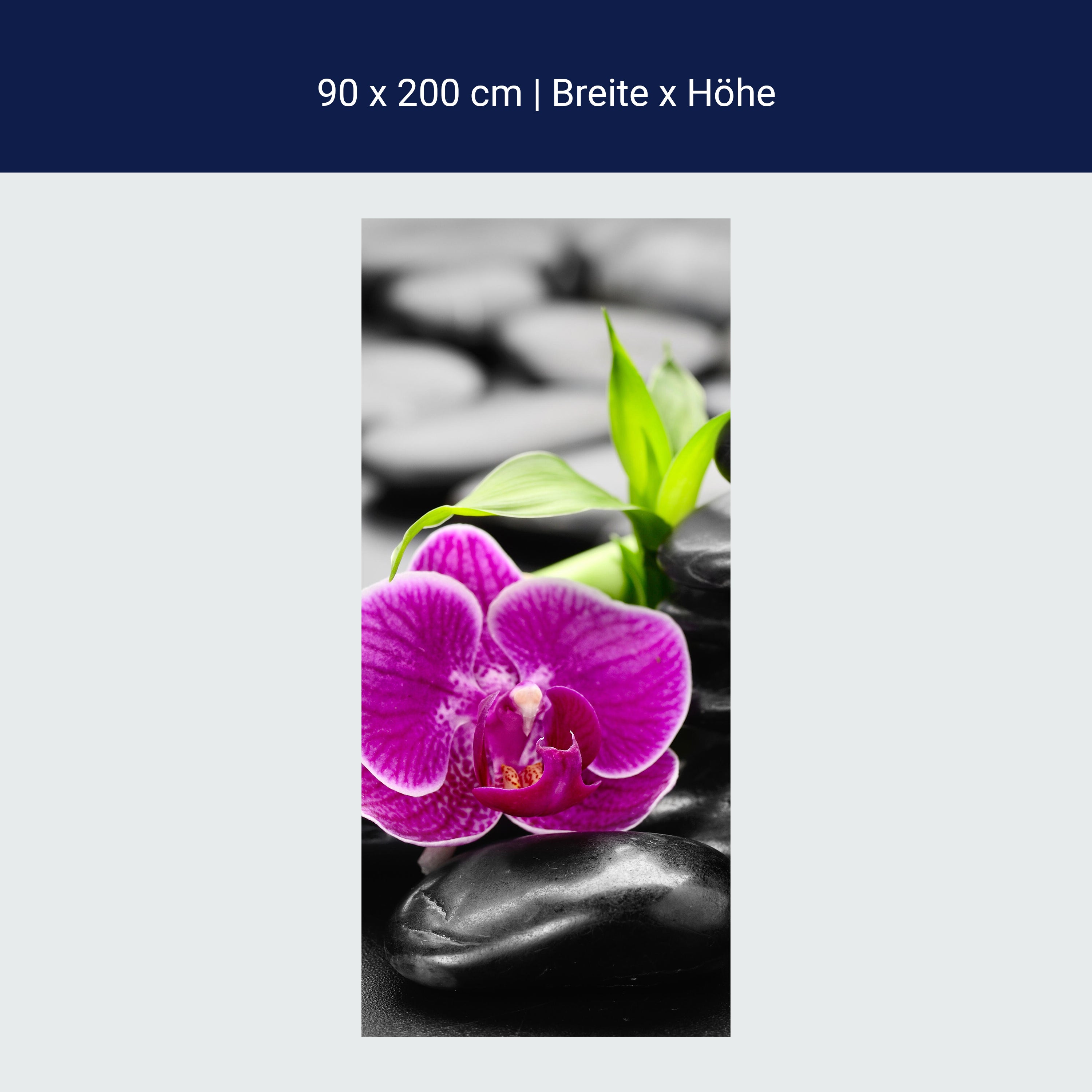 Türtapete Zen Basaltsteine und Orchidee M0954