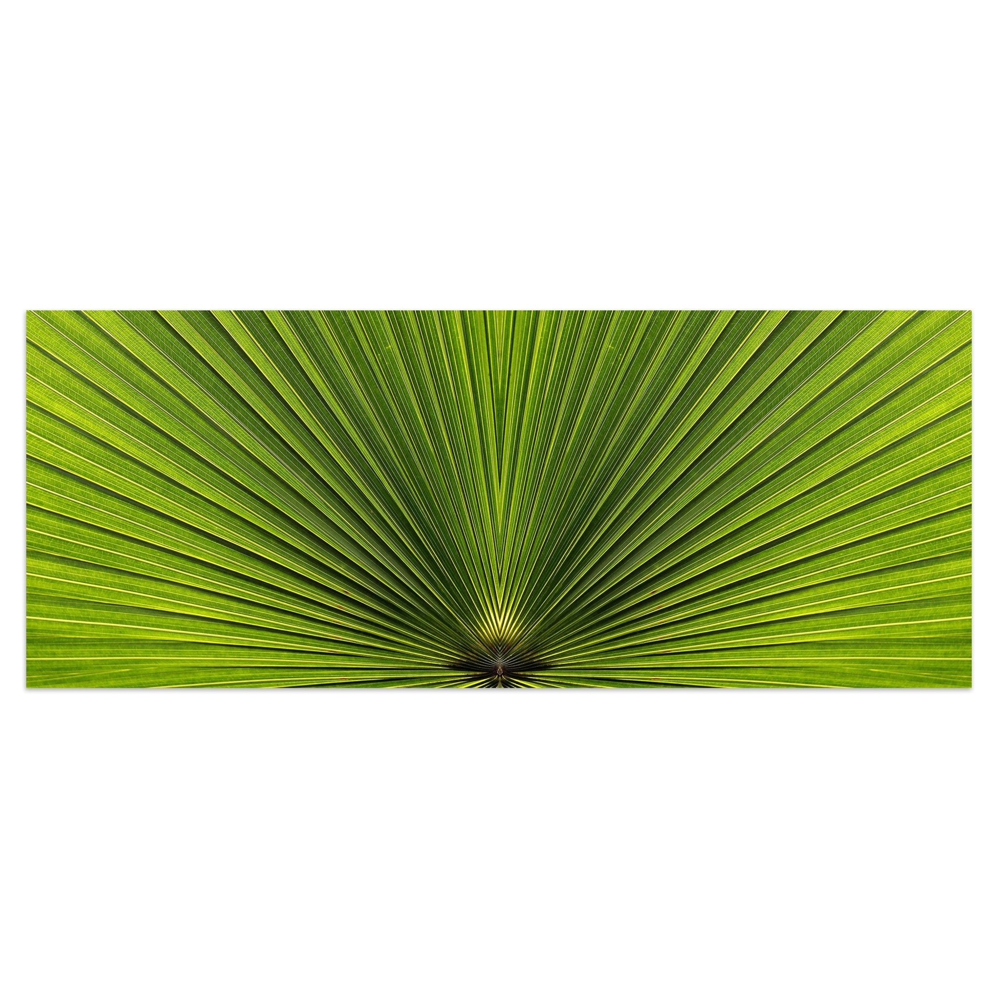 Leinwandbild Palmblatt Nahaufnahme M1003 kaufen - Bild 1