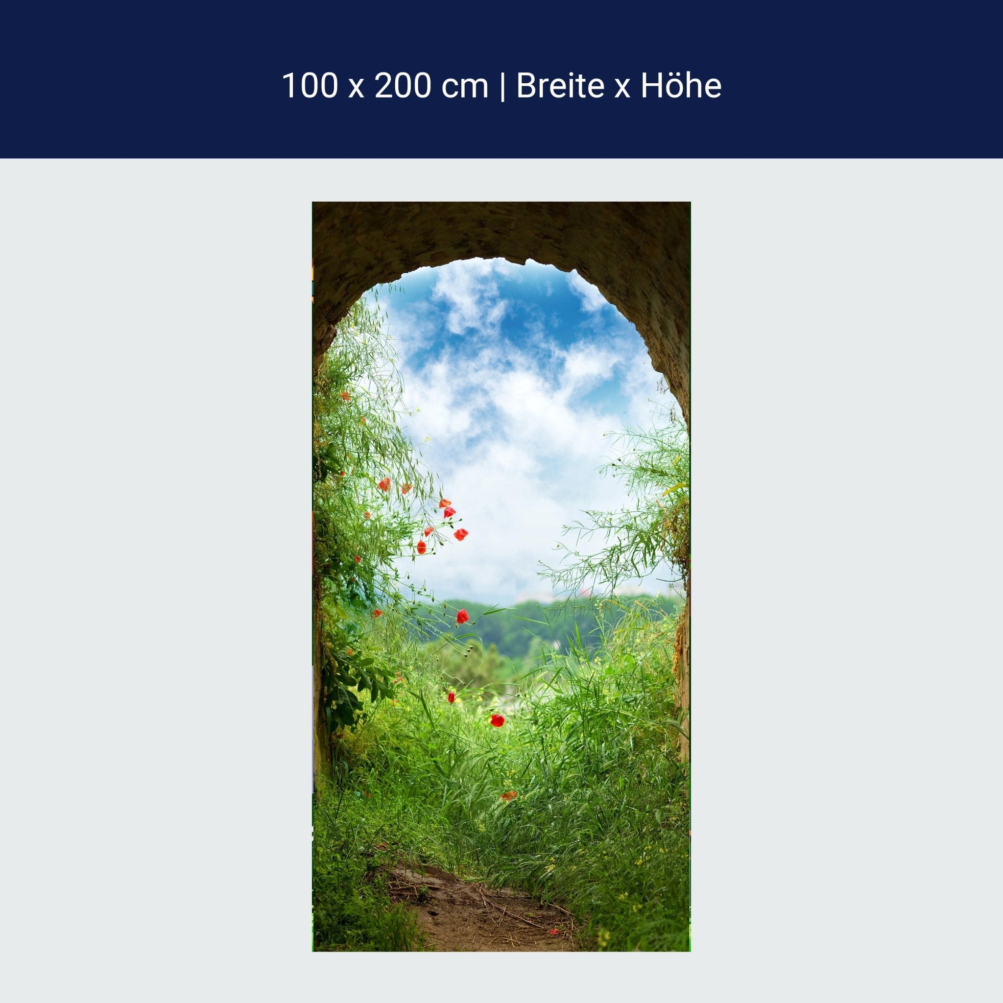 Türtapete Blick aus Tunnel, Wiese, Natur, Blumen M1074