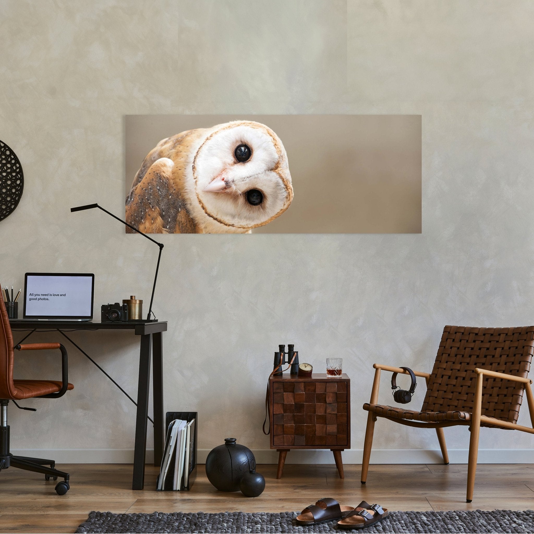 Leinwandbild Eule, Kauz, Tier, Vogel M1112 kaufen - Bild 2