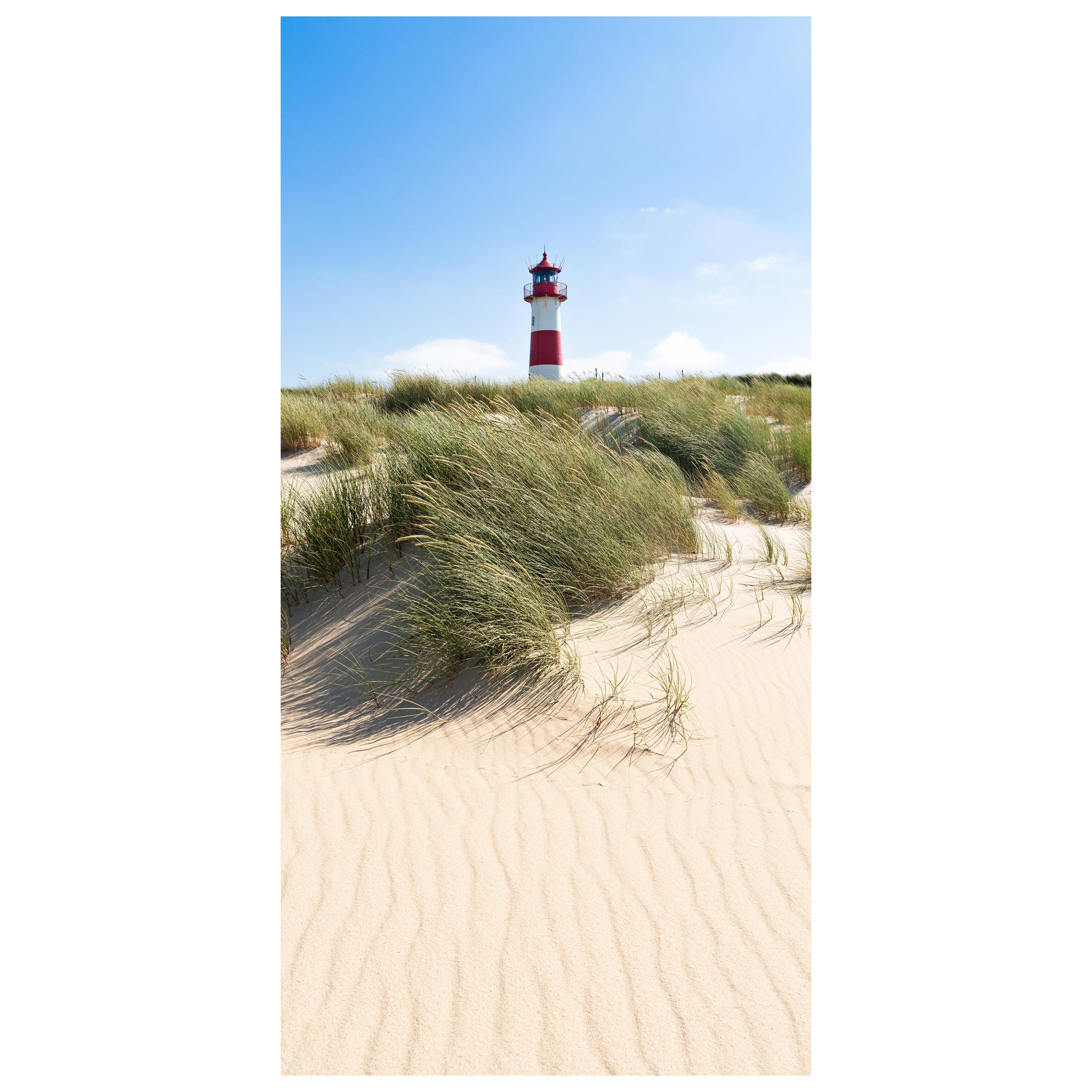 Türtapete Leucht-turm & Dünen, See-gras, Meer M1120 - Bild 2