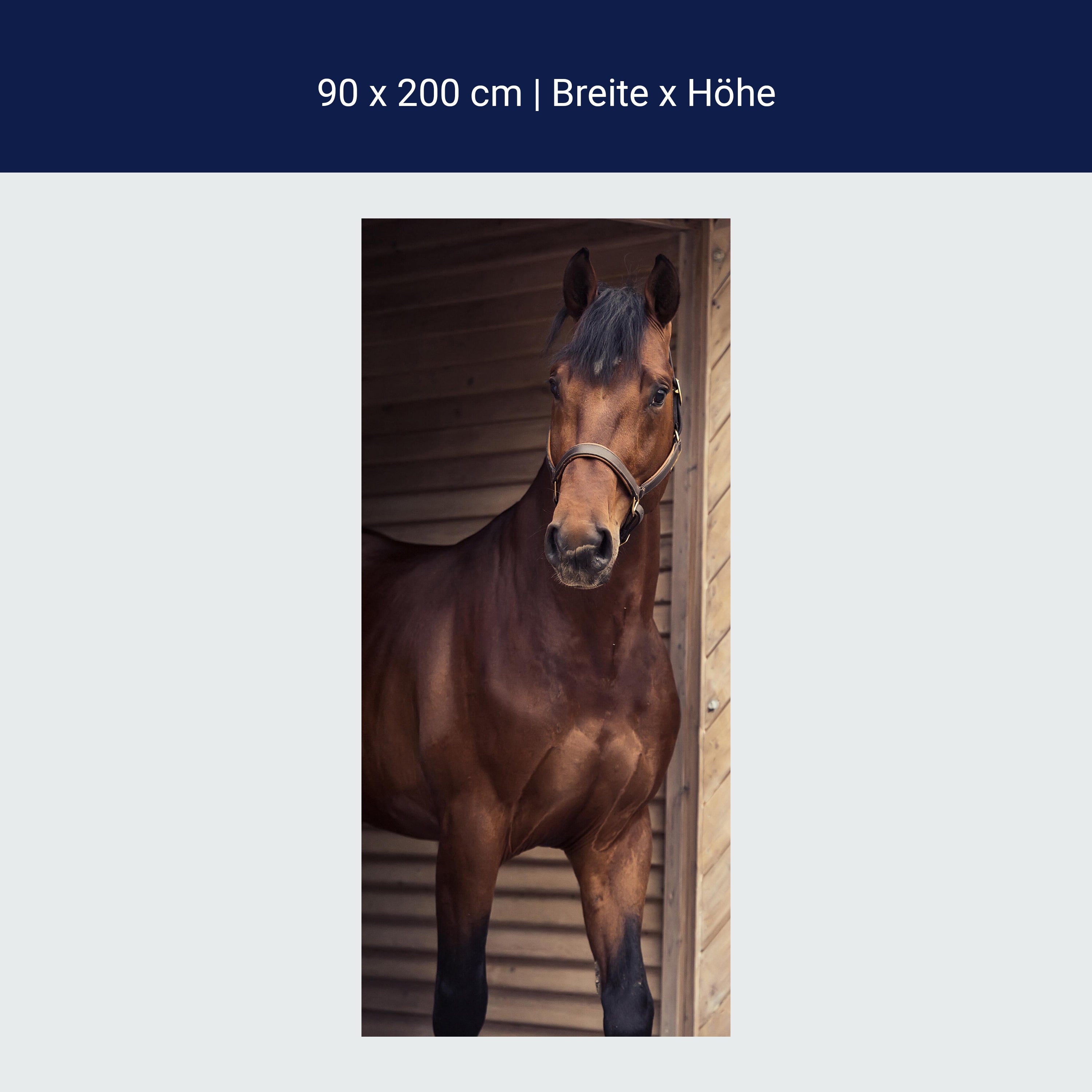 Türtapete Pferd an Stall-tür, Tiere, Reiten, Box M1137