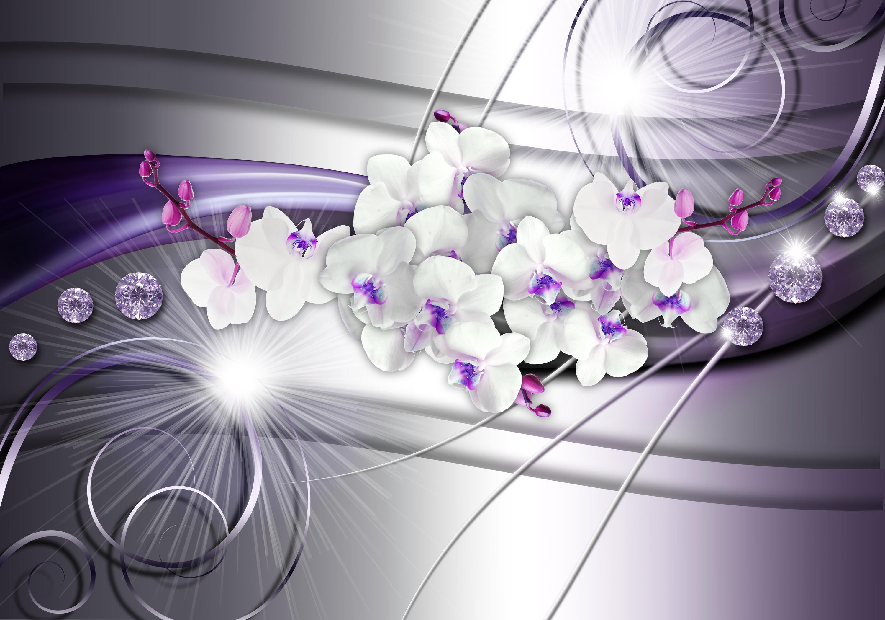 Select your image area