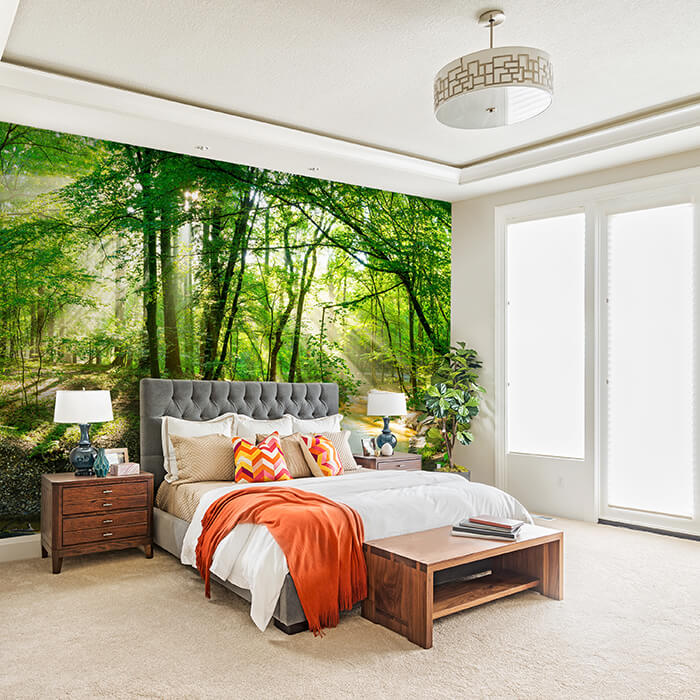 Fototapete Wald mit Bach bei Sonnenschein M5750 - Bild 1