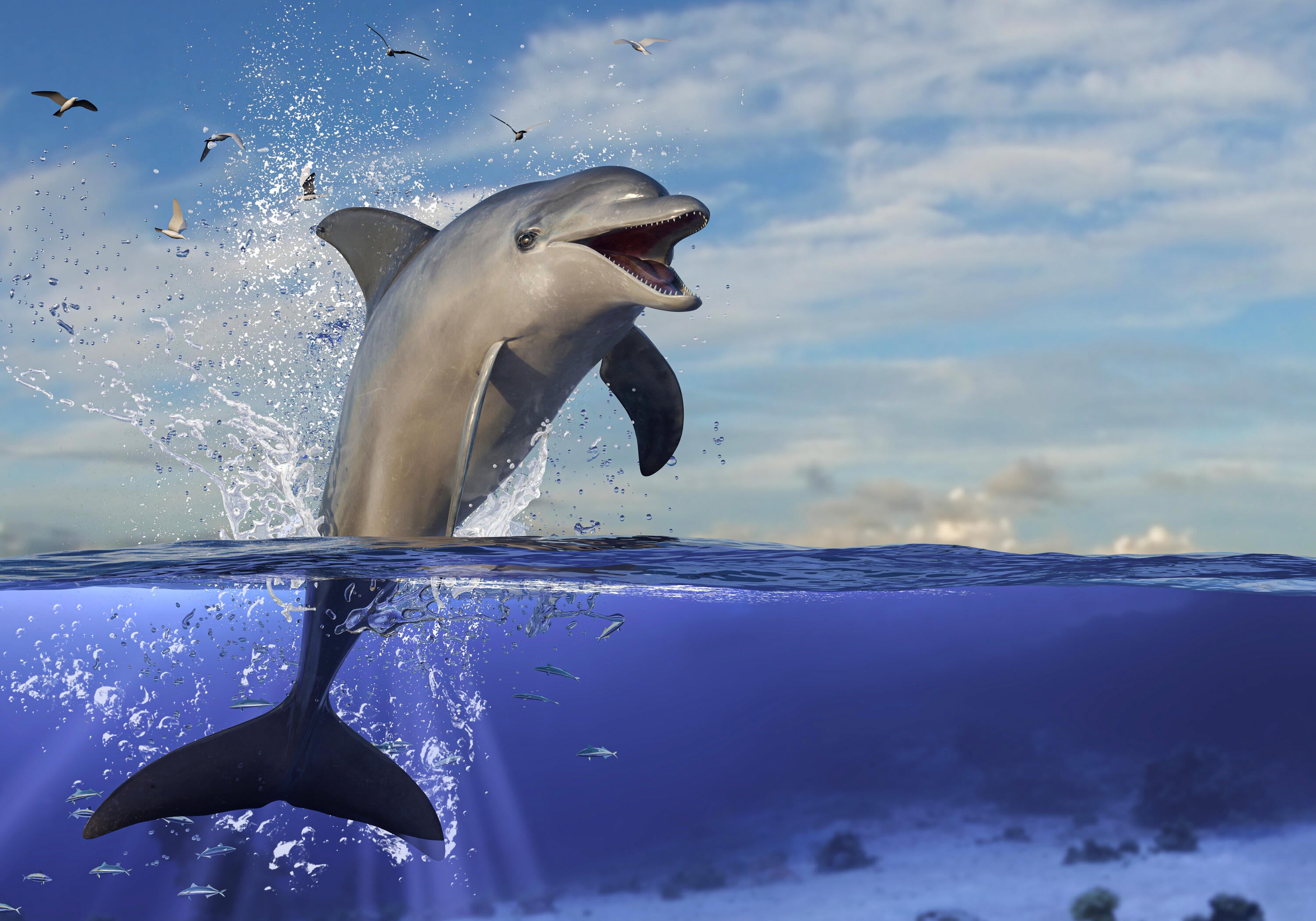 Select your image area