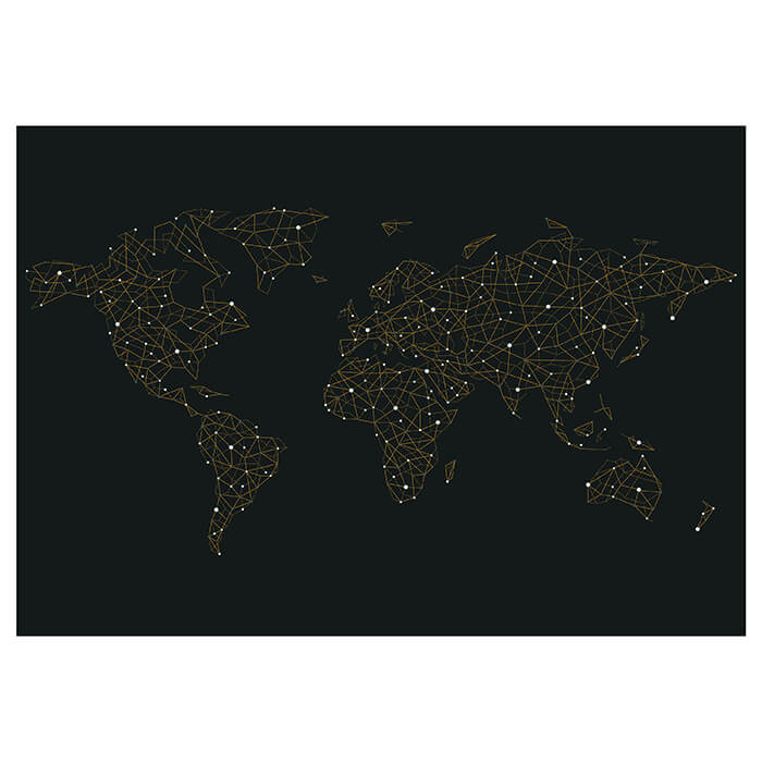 Fototapete Weltkarte Globus Netz M6655 - Bild 2