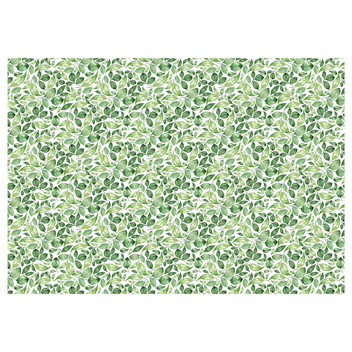 Fototapete Blätter Zweige grün M6819 - Bild 2