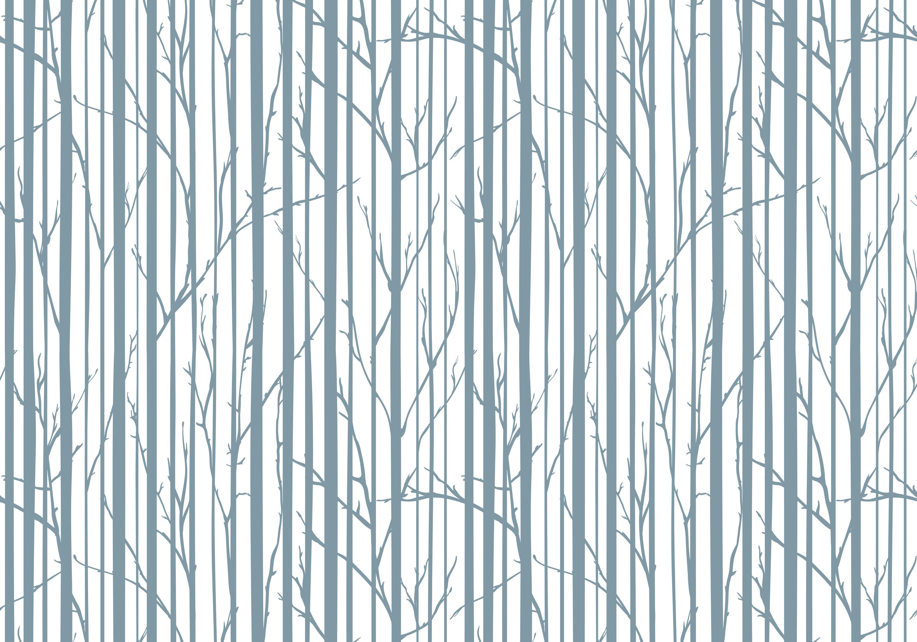 Select your image area