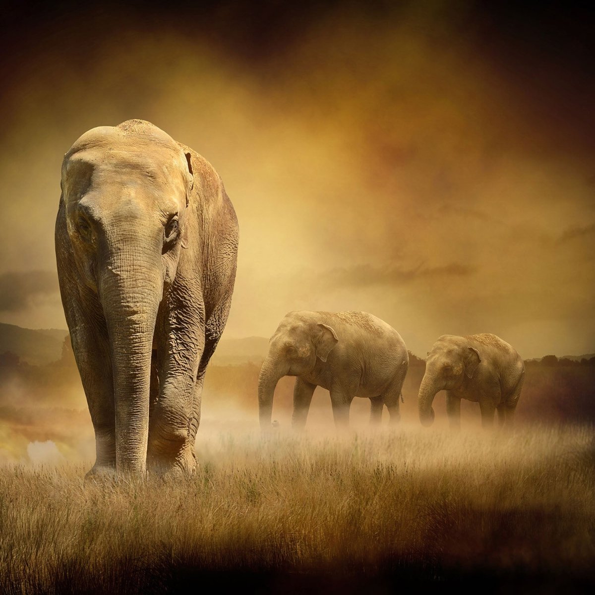 Beistelltisch Steppenelefant Afrika M0246 entdecken - Bild 2