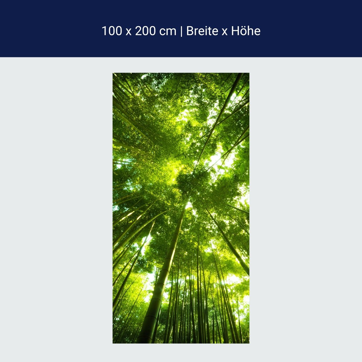 Duschwand Bambus Wald M0338
