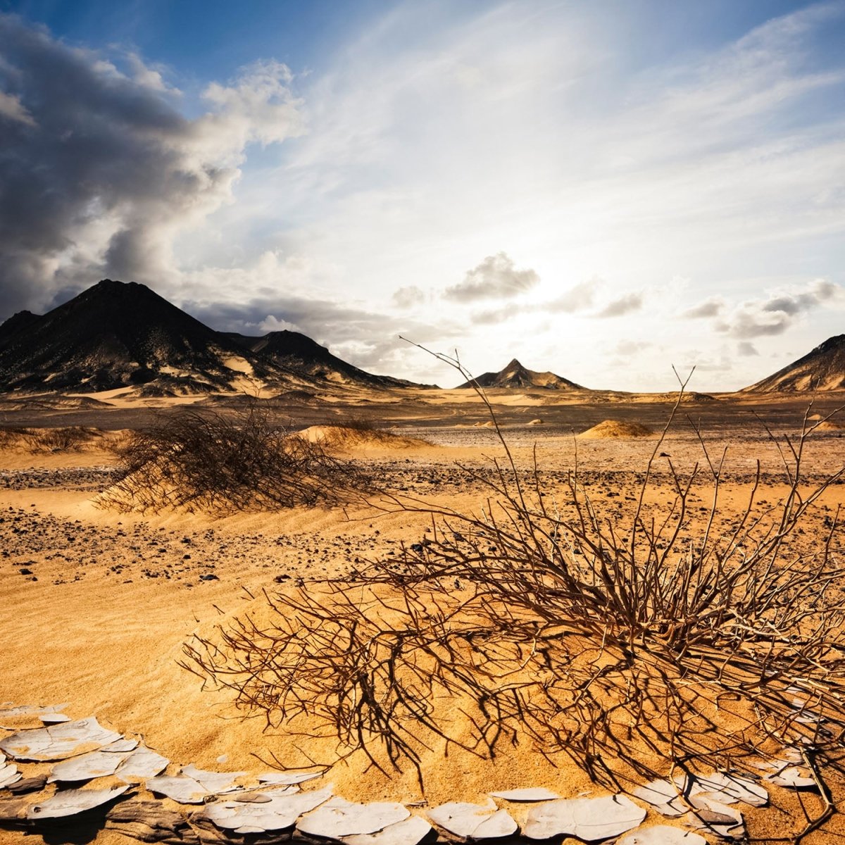 Beistelltisch Schwarze Wüste M0344 entdecken - Bild 2